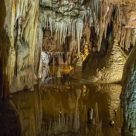 In - Istrien 9856 Apartman Poreč